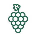 Green icon of grapes